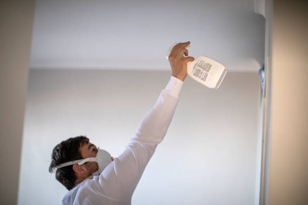 Best Bathroom Mold Remediation in Heyville, AL